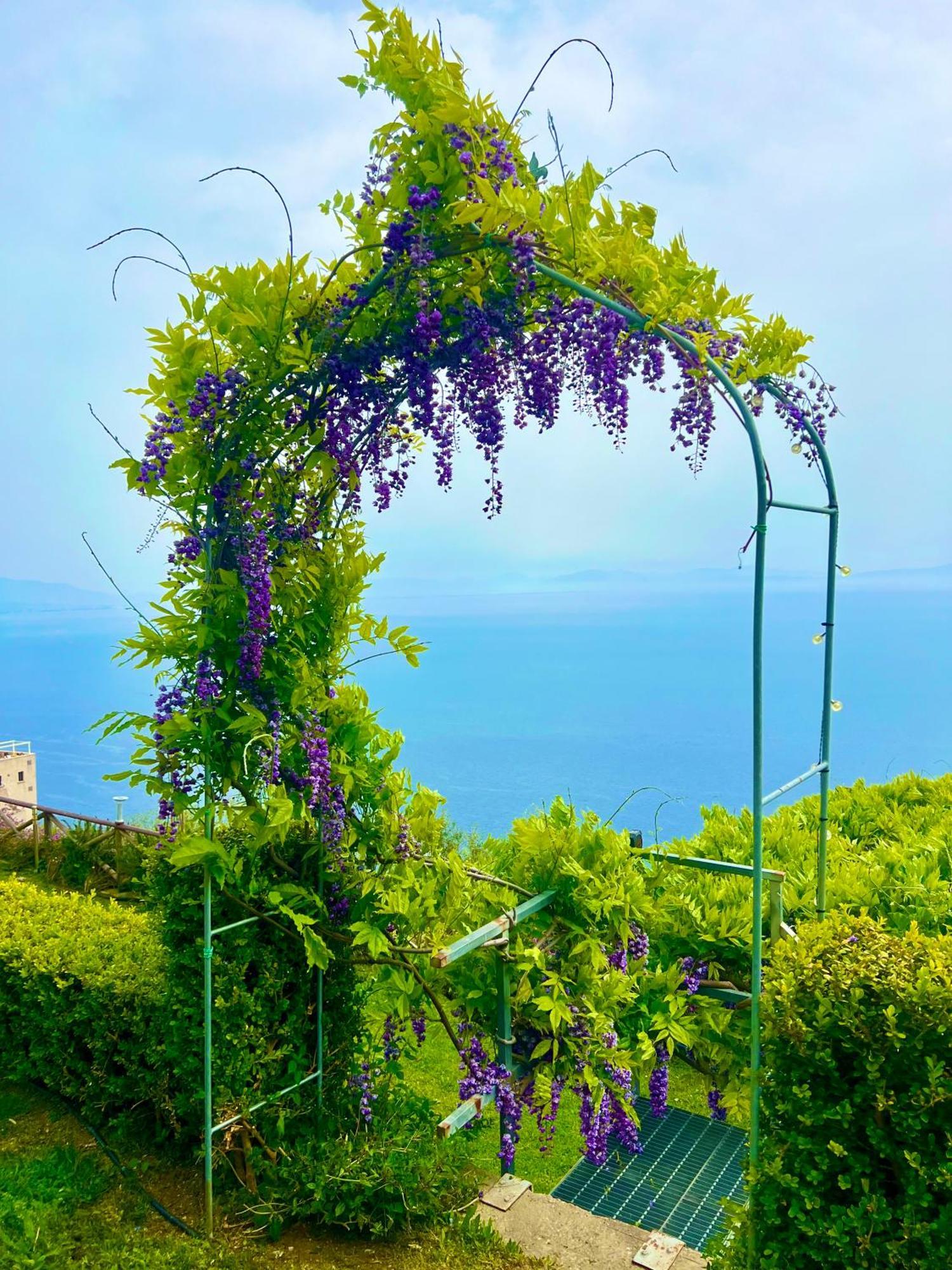 B&B Il Pavone Conca dei Marini Exterior foto